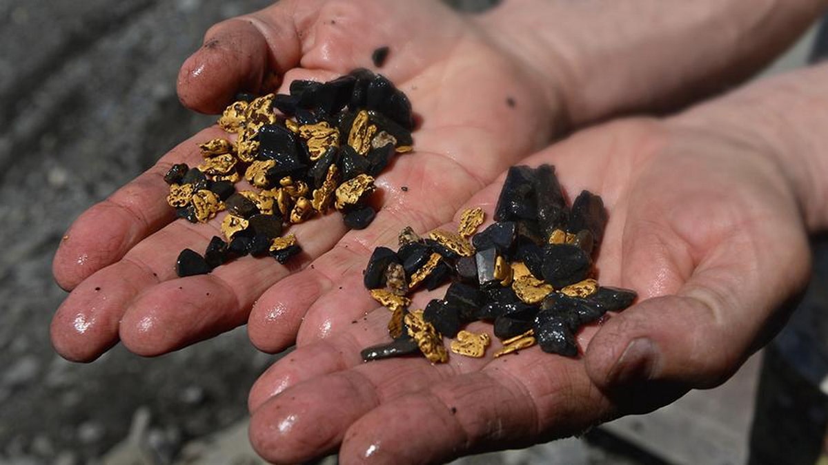 Жамбыл облысында 10 күн бойы шахтада алтын қазғандар ұсталды