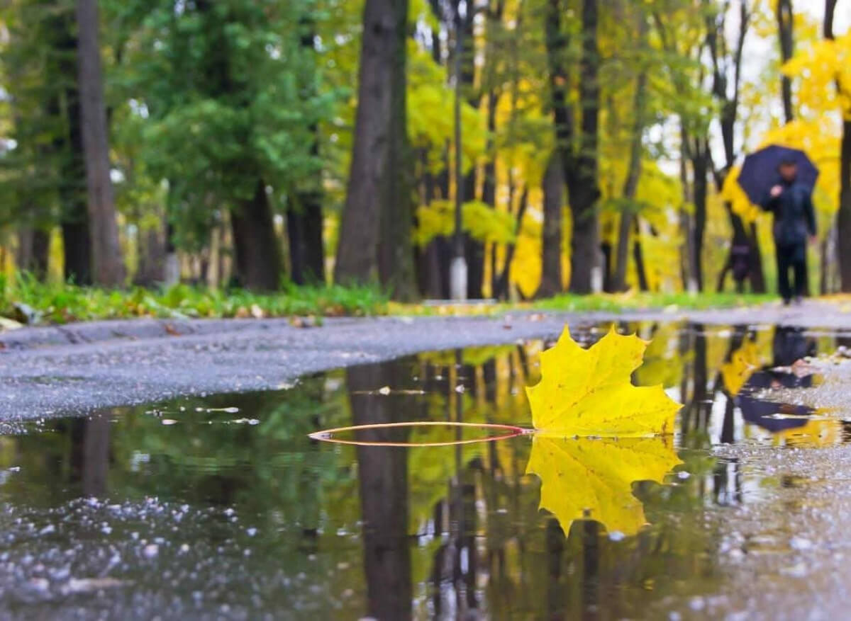 Алдағы күндері еліміздің басым бөлігінде жаңбыр жауып, кун суытады