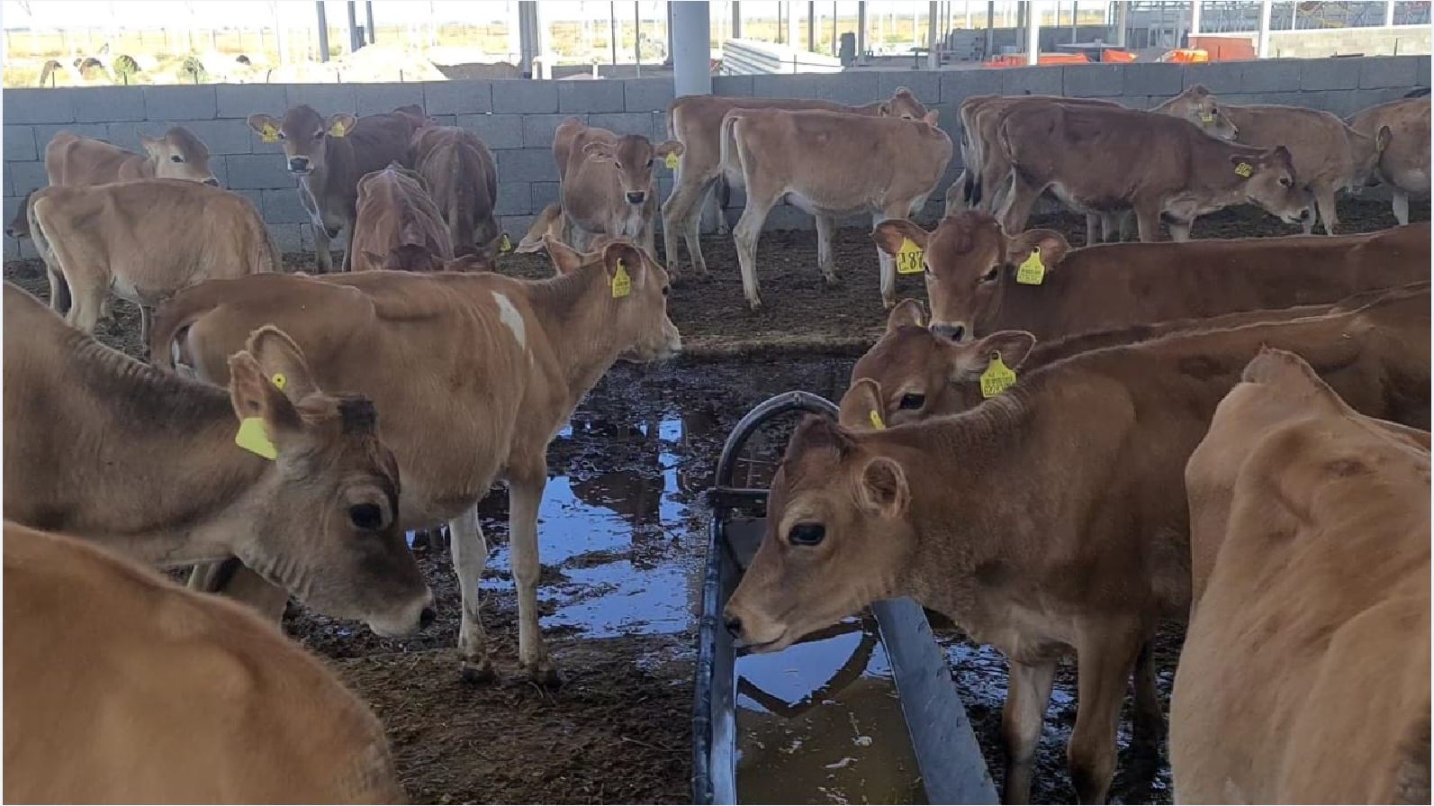 Қатты фистинг фотосуреттері және анальді ашылған фотосуреттер