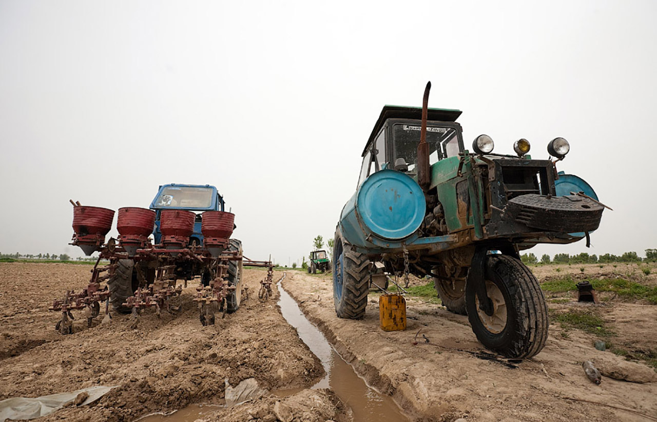 «Су тапшылығы диқандарды шығынға батыруда» – депутат Үкіметке сауал жолдады