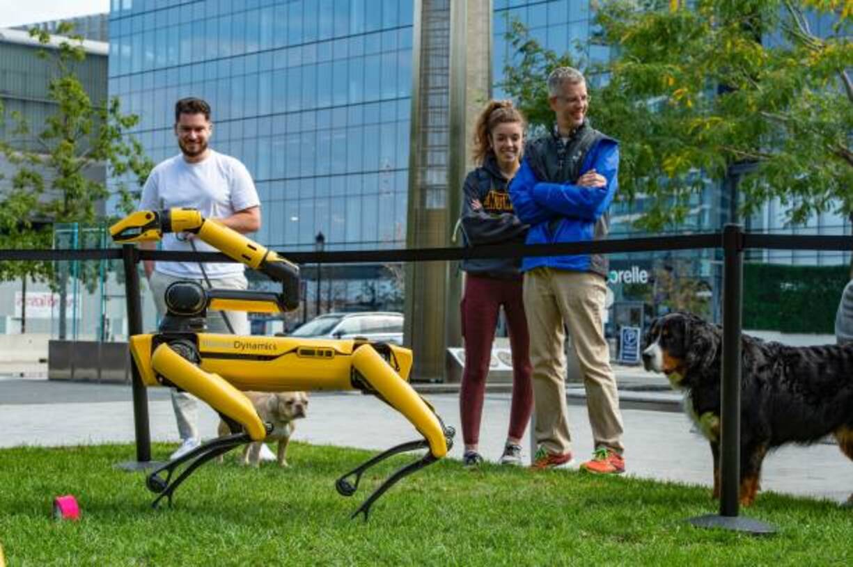 Boston Dynamics-тің роботтары шырша безендіреді
