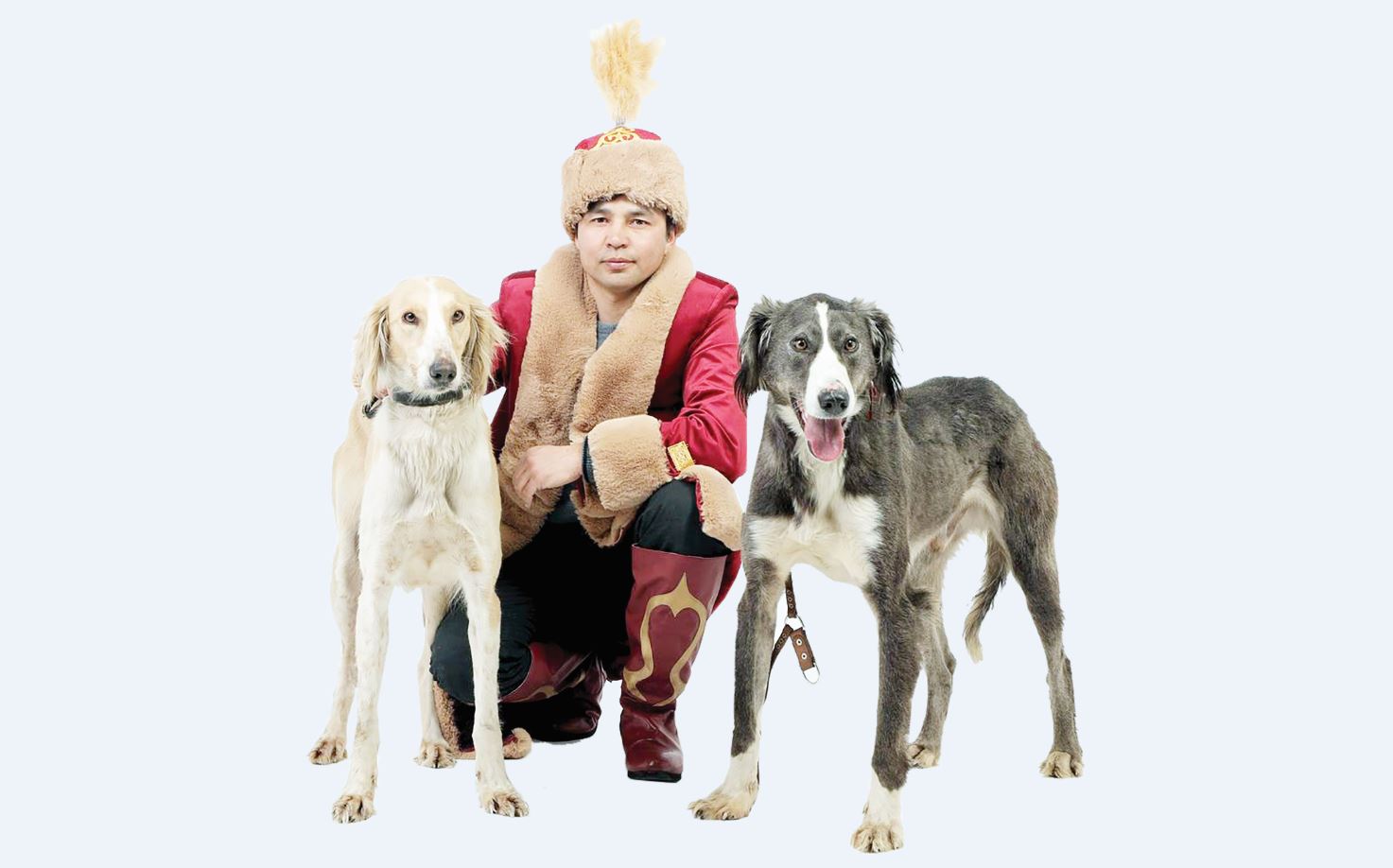 Тазы мен төбетті түгендейтін талап