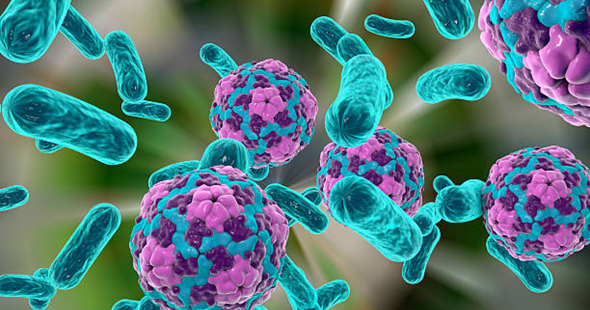 ЖИ супербактерияны жоятын антибиотик тапты