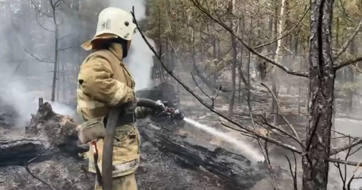 Абай облысы Талица ауылына жақындаған өрт сөндірілді