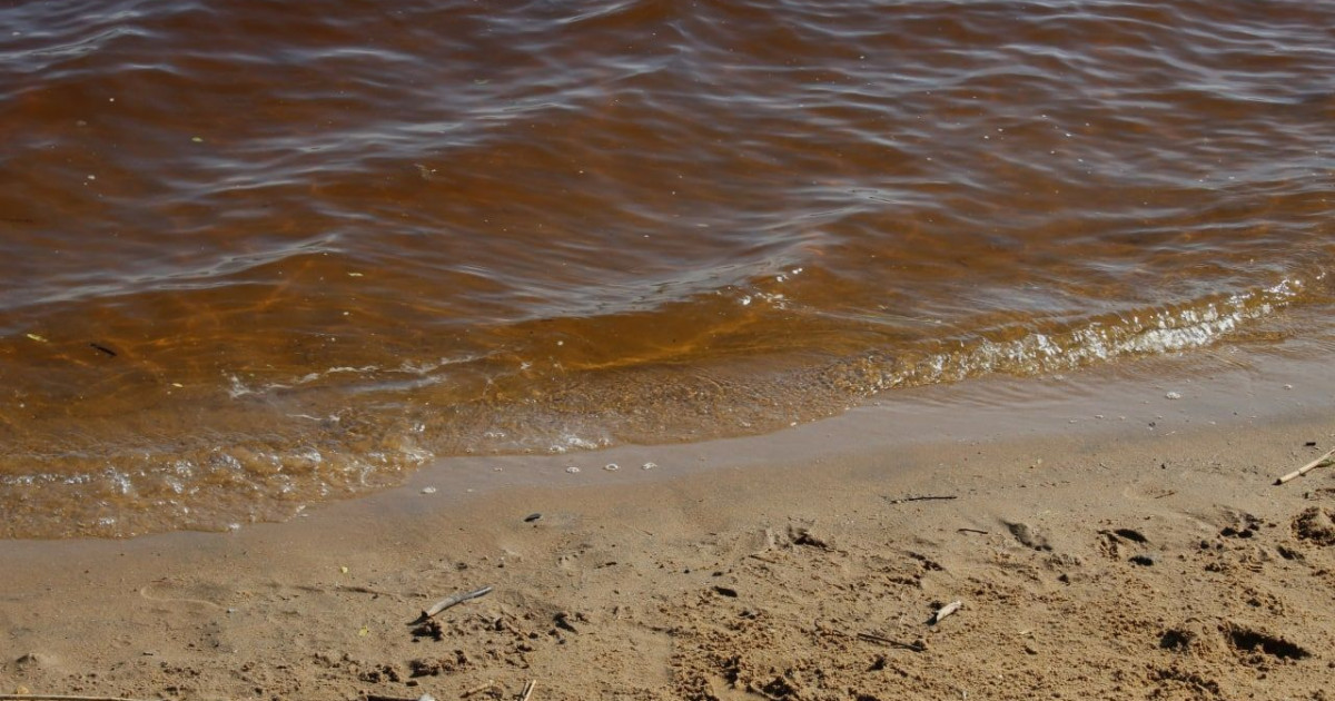 Абай облысында 15 жастағы қыз суға батып кетті