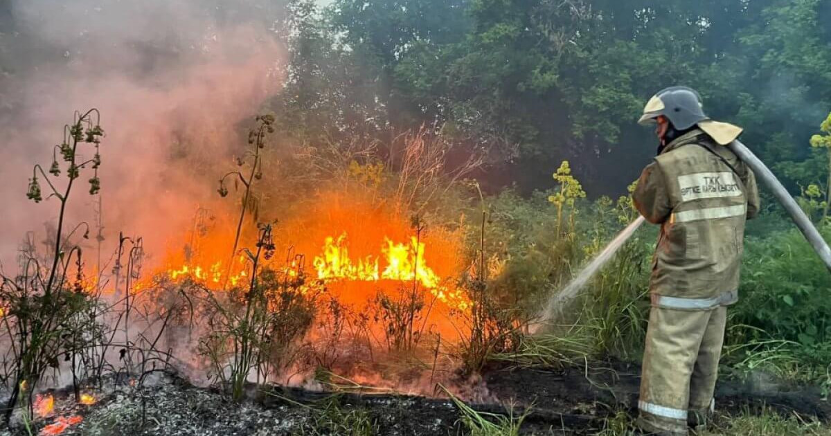 Абай облысында орман өртінен үш адам қаза тапты