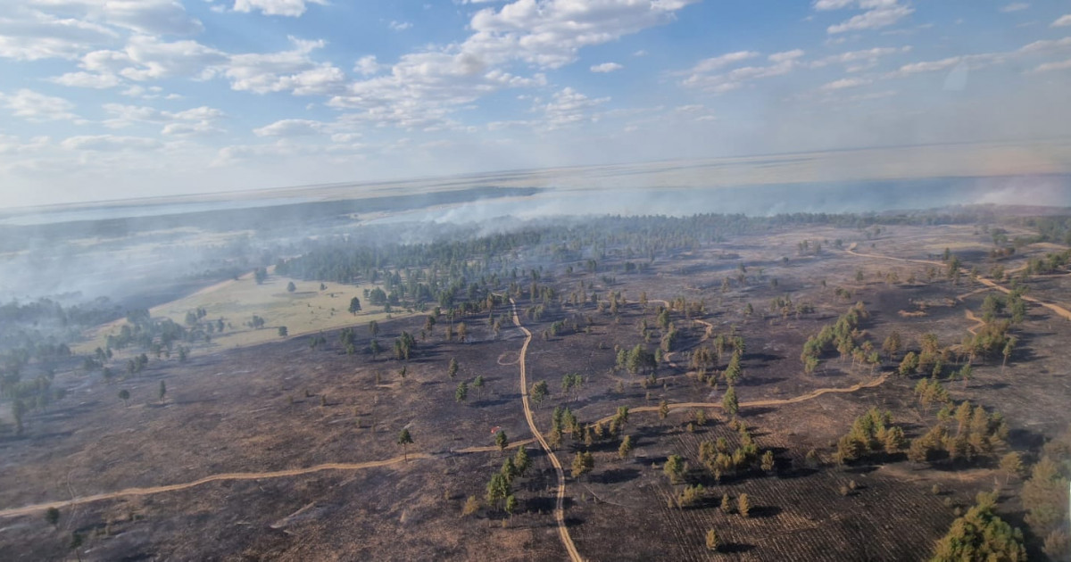 Абай облысындағы орман өртінің беті қайта бастады