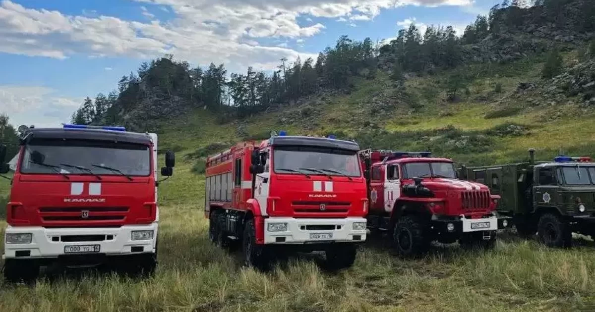 Меркі тауларындағы өрт сөндірілді