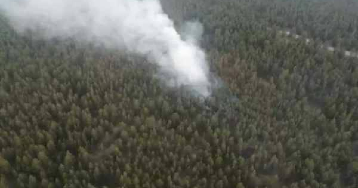 Семей орманында тағы да өрт шықты