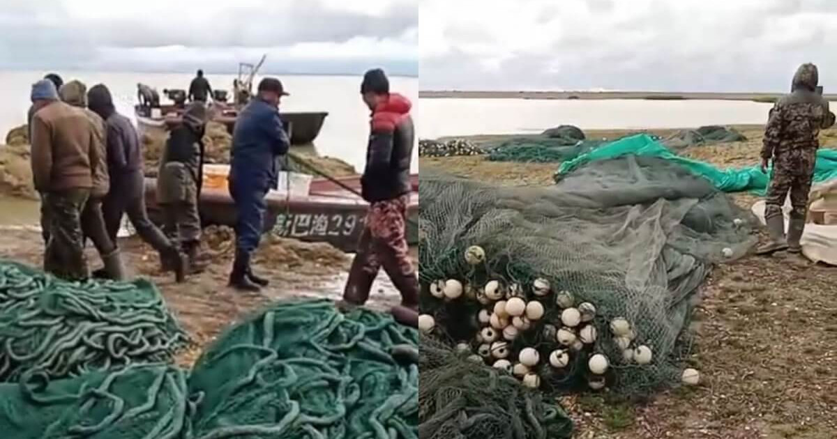 Мақсат Толықбай Зайсанға балық аулауға келген қытайлықтарды өз бақылауына алатынын мәлімдеді