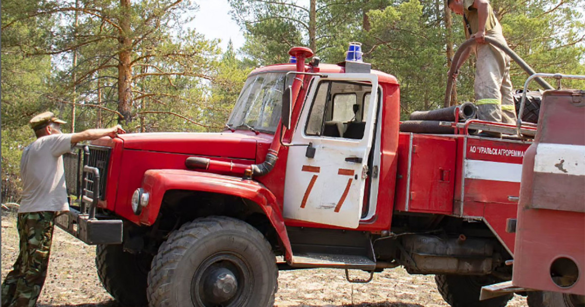«Орманшылардың жалақысын өсіреміз» – Үкімет уәдесін тағы ұмытып кетті