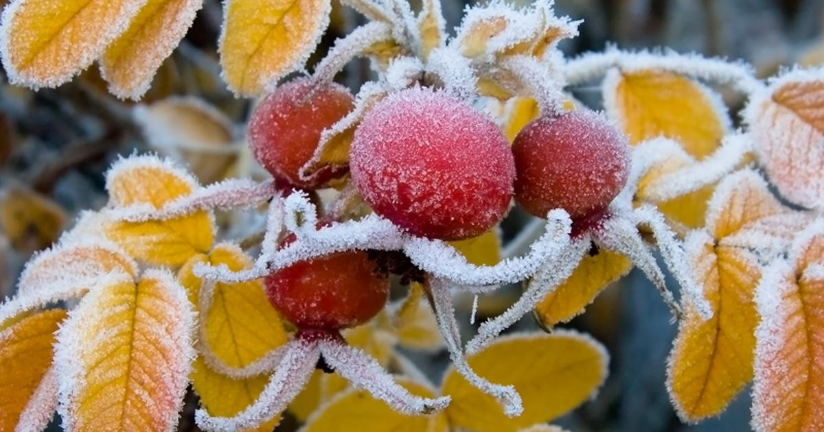 Жаңбыр жауып, үсік жүреді: 13 қазанға арналған ауа райы болжамы