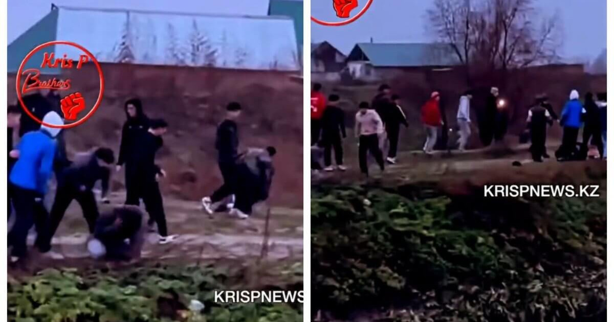Алматы облысында оқушылар арасында жаппай төбелес болды (видео)