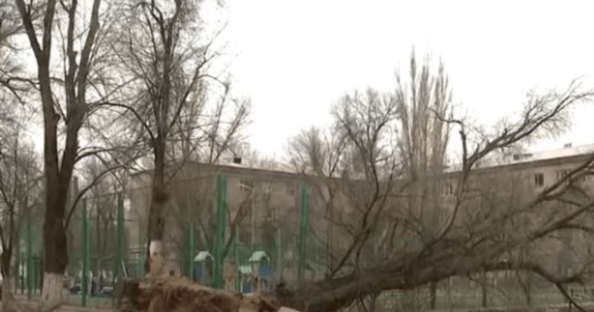 Жамбыл облысында дауылдан мектептің шатыры ұшып кетті