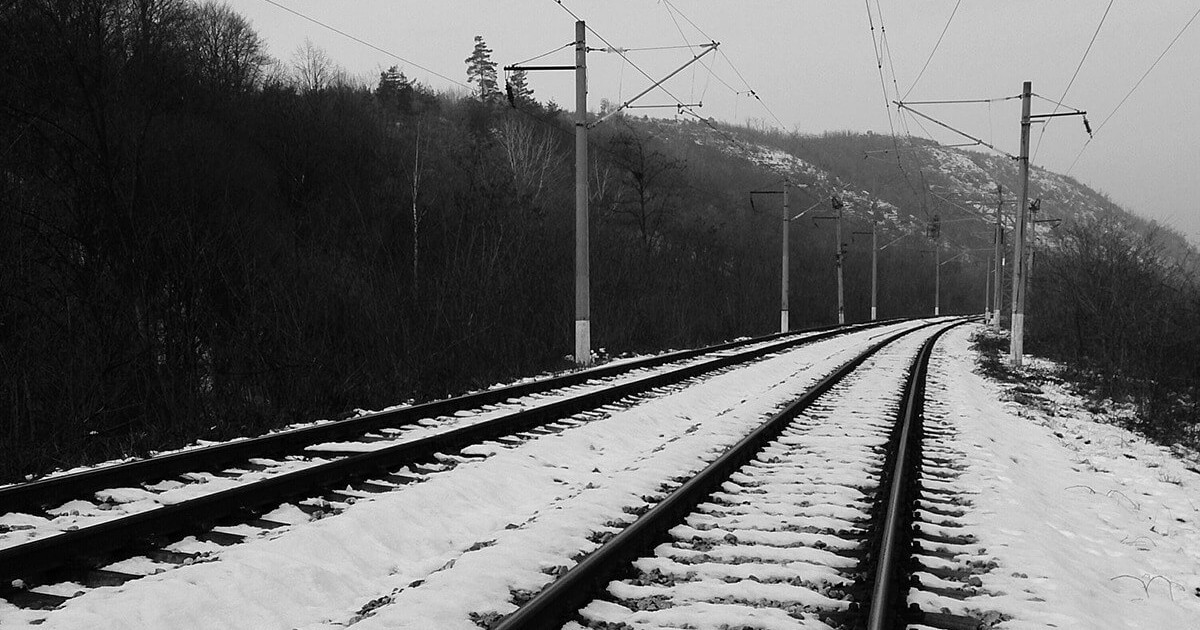 Павлодар облысында жүк пойызы жылқыларды қағып кетті