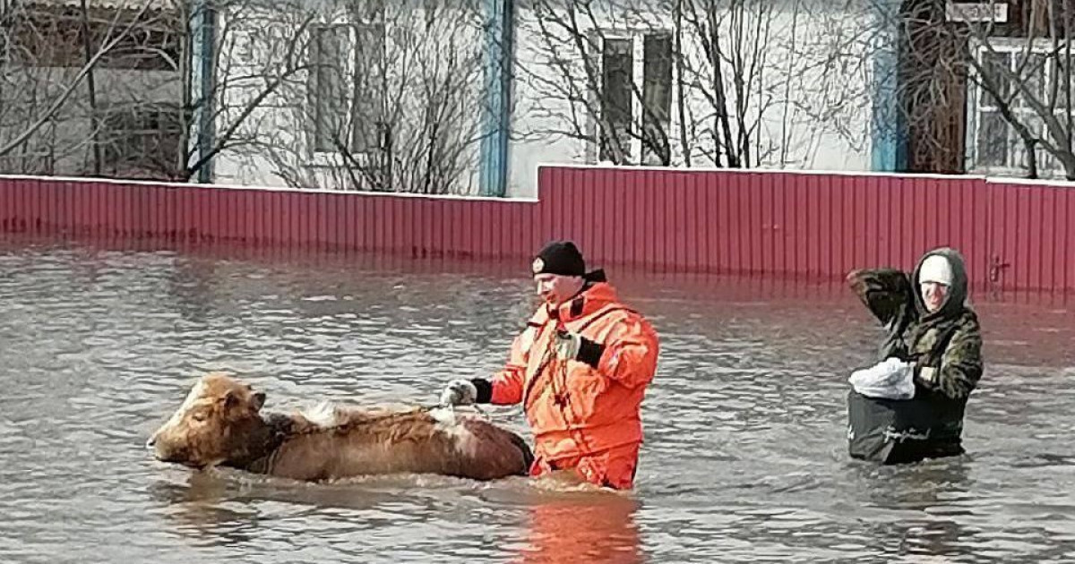 Ресейдің 22 аймағы су астында қалды
