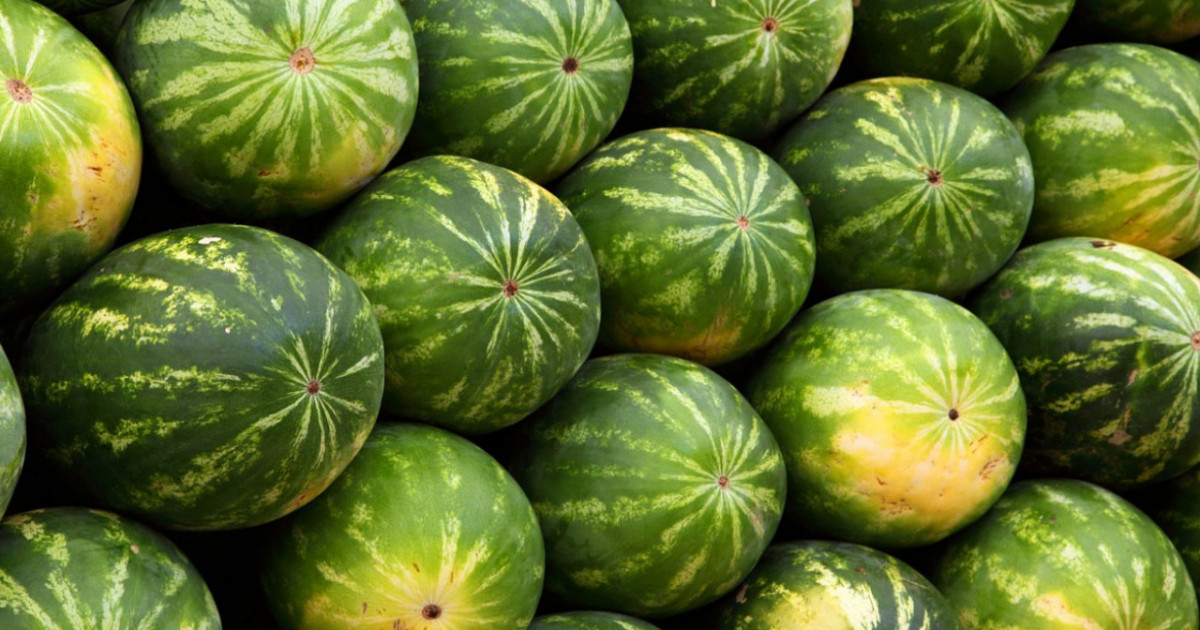 Әйел орманда сидит порно видео