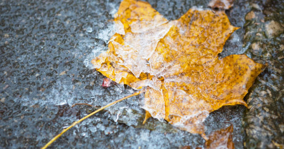 2-3 градусқа дейін үсік жүреді: 30 қыркүйекке арналған ауа райы болжамы