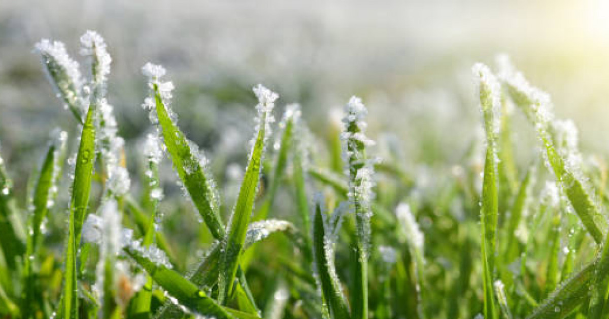 «-2°C дейін аяз күтіледі»: 4 қыркүйекке арналған ауа райы болжамы