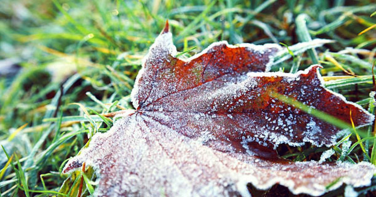 Бірнеше аймақта үсік жүреді: 6 қыркүйекке арналған ауа райы болжамы