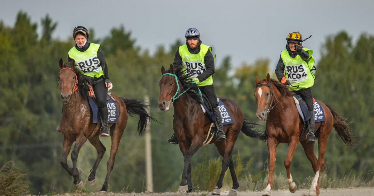 Саша Грей үште