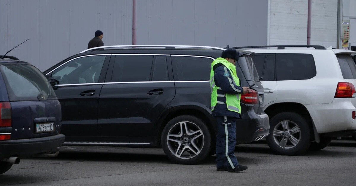 Жамбыл облысында туысын тонаған жігіт қолға түсті