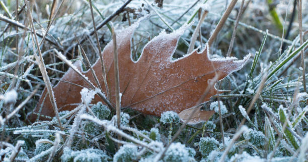 Ауа райы болжамы: 