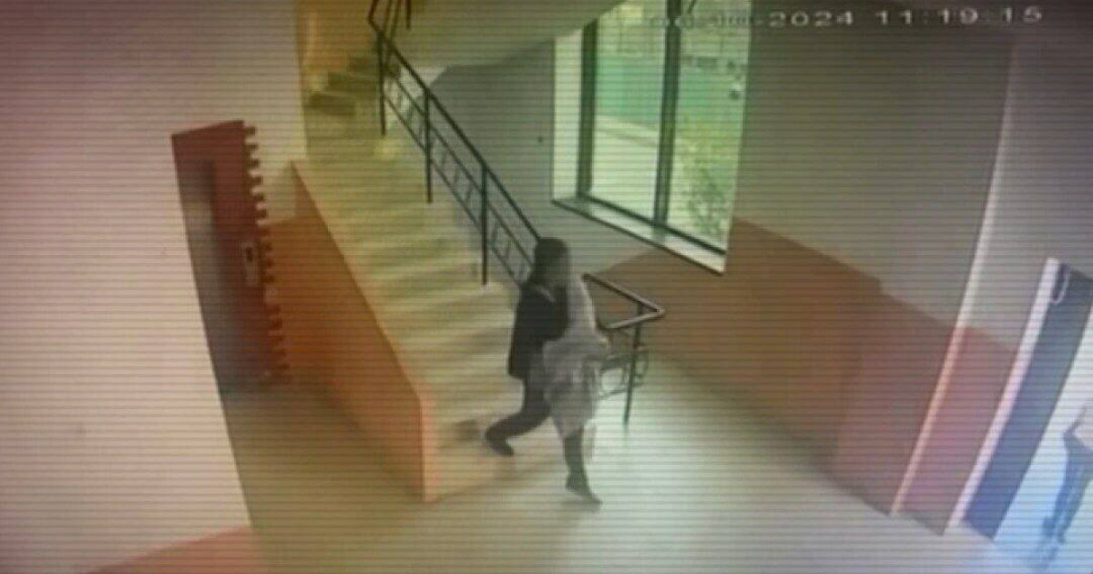 Алаяқтар клинингтік қызмет көрсетушілердің кейпіне еніп, бірнеше пәтерді тонап кеткен (видео)