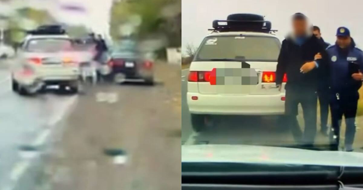 Алматы облысының тұрғыны полицейді көлігімен сүйреді (Видео)