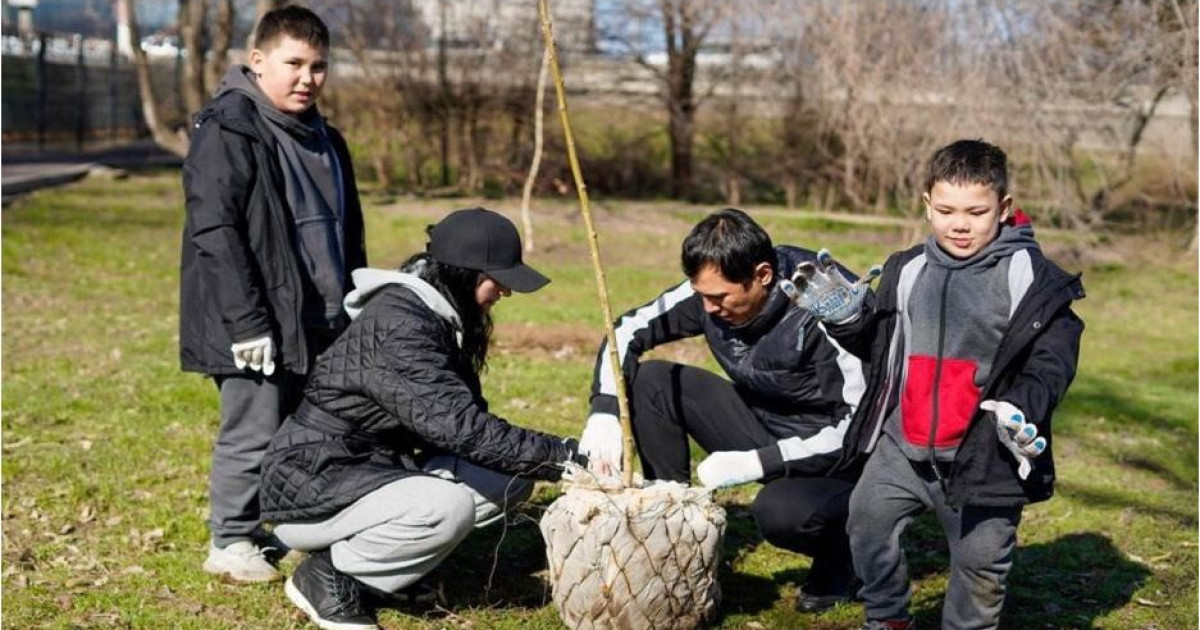 Оталып жатқан орман көп