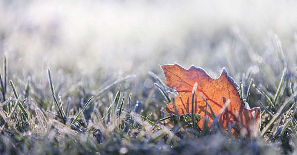 Жаңбыр, қар, тұман: 2 қазанға ауа райы болжамы жарияланды