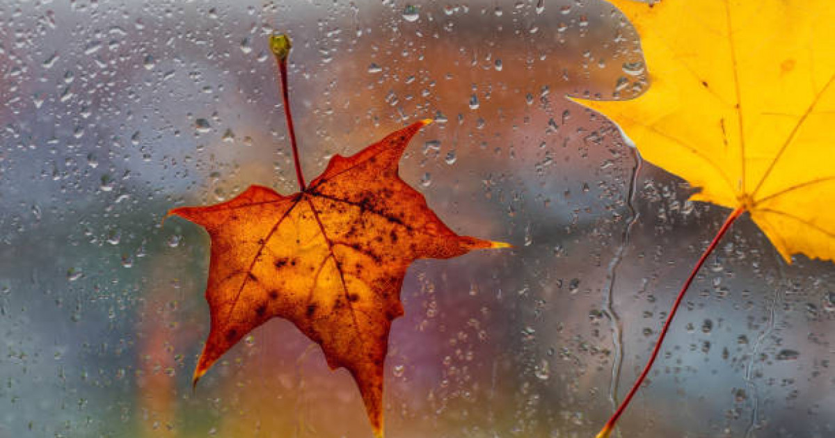 Жауын-шашын, дауыл: алдағы үш күнге арналған ауа райы болжамы