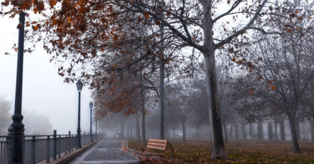 Жел, жаңбыр, тұман: алдағы үш күнде ауа райы қандай болады?