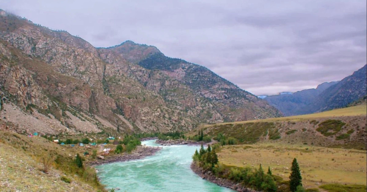 Жетісу облысында 221 гектар жер мемлекет меншігіне қайтарылды