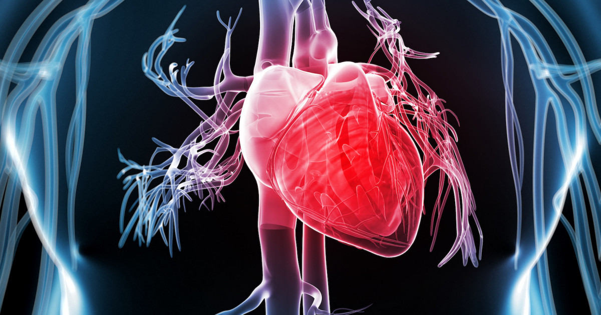 «Холестерин мен қантты төмендетеді»: бұл тағамның 100 грамы тәуліктік қажеттілікті толтырады