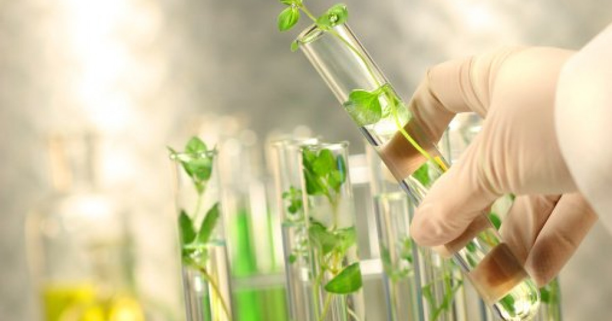 Мемлекет басшысы ауыл шаруашылығы ғылымын дамыту жөнінде айтты