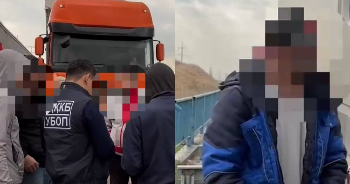 Түркістан облысында заңсыз көші-қонмен айналысқан қылмыстық топ құрықталды