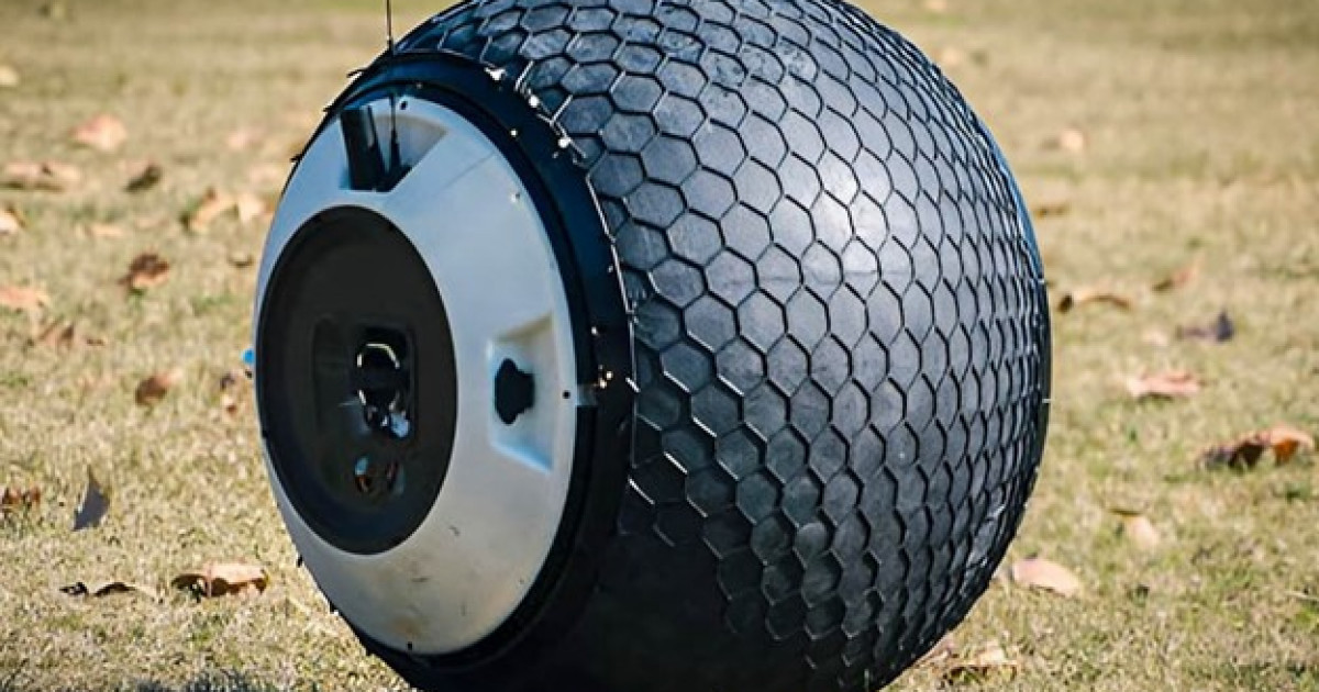 Анна Старшенбаумның фильмдеріндегі эротикалық көріністер