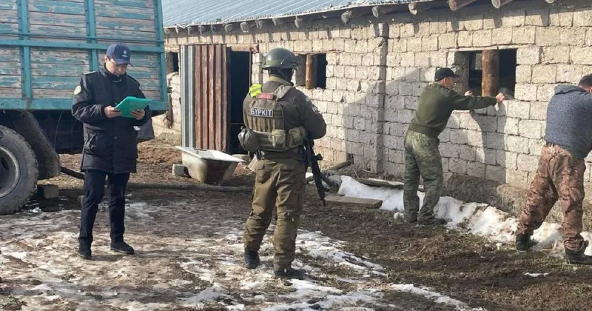 Қазақ-өзбек шекарасында жасырын туннель салып, жанармайды заңсыз экспорттаған