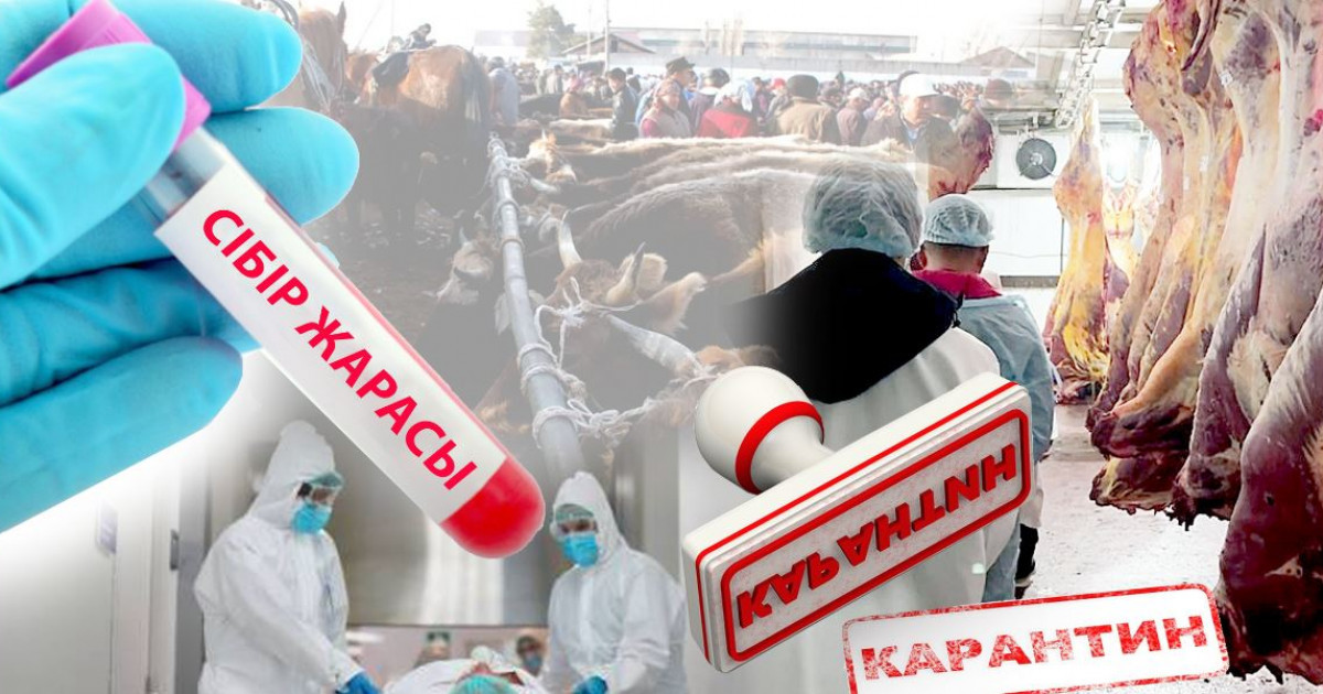 Күйдіргіден қауіп көп