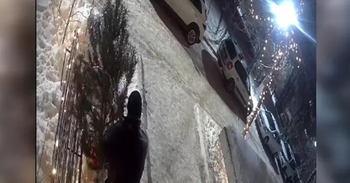 Орал тұрғыны ауладан жаңажылдық шыршаны ұрлап кеткен