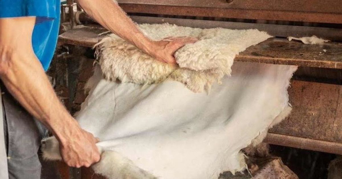 Солтүстік Қазақстанда тері өңдейтін зауыт салынады