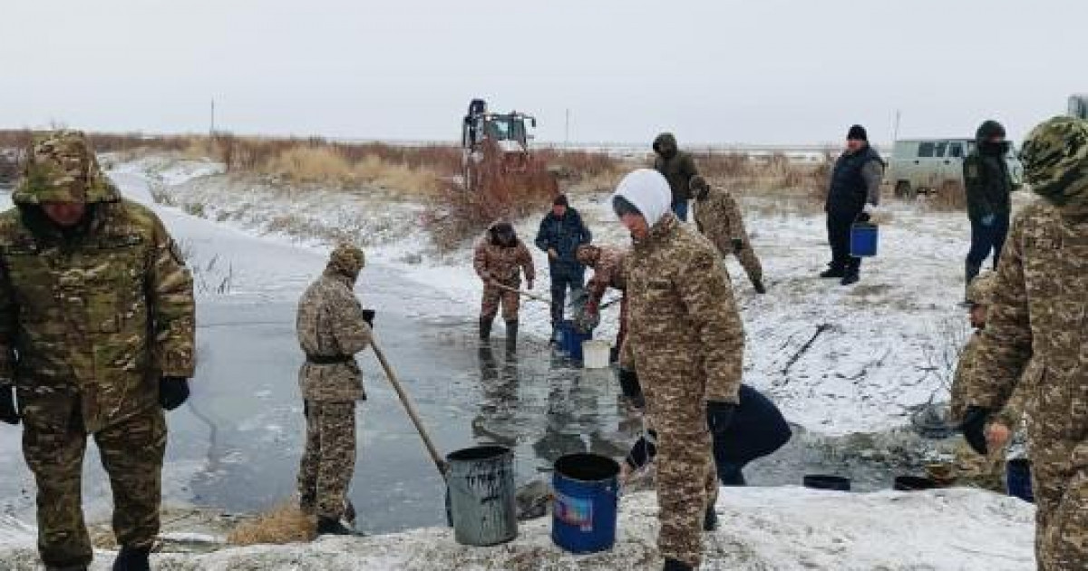 8,5 миллион шабақ балық құтқарылды