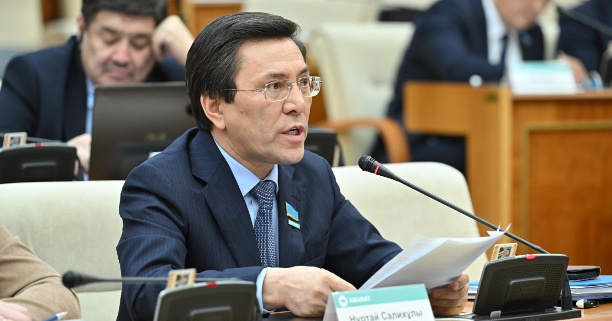 Экономиканы әртараптандыру және цифрландыру қажет – депутат