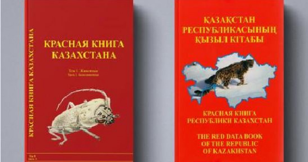 Қызыл шашты шайтанмен жыныстық қатынас