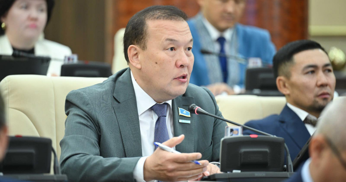 Мәселені жасырмай, оларды шешудің нақты жолдарын іздеуіміз керек – депутат