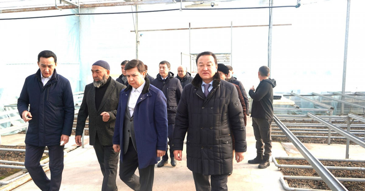 Мәжіліс депутаттары Түркістан облысындағы кәсіпорындарды аралады