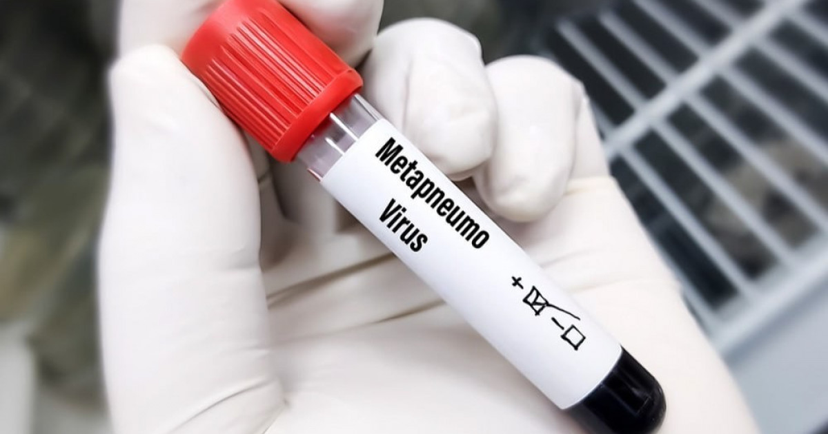 Метапневмовирус жаңа туған нәрестелер мен егде жастағы адамдар үшін қауіпті