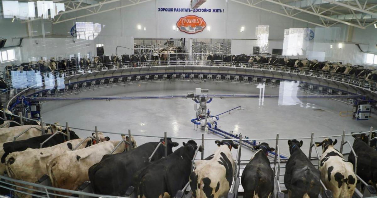 Орталық Азияда баламасы жоқ сиыр сауу цехы ашылды