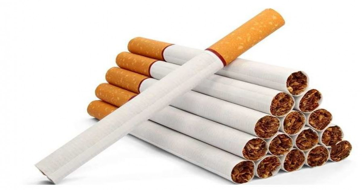 Тұқым құртатын тұқыл